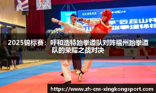 2025锦标赛:呼和浩特跆拳道队对阵福州跆拳道队的荣耀之战对决